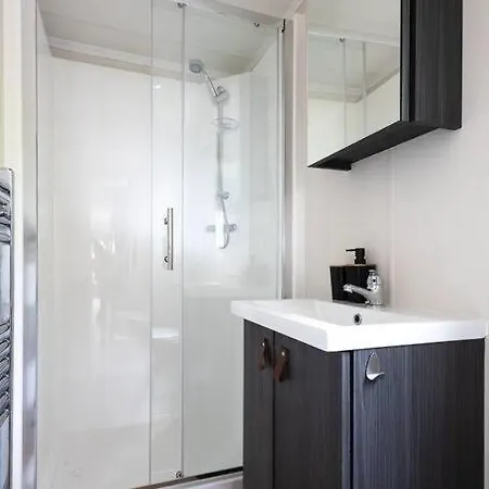 Prachtig In De Bossen