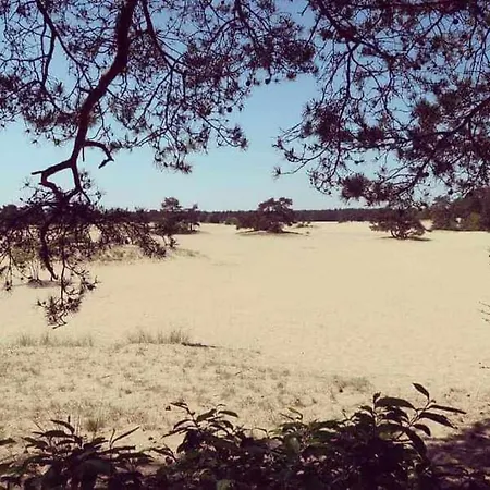 Prachtig In De Bossen Nunspeet