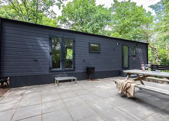 Prachtig In De Bossen Tatil Evi *