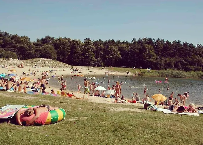 Tatil Evi Prachtig In De Bossen