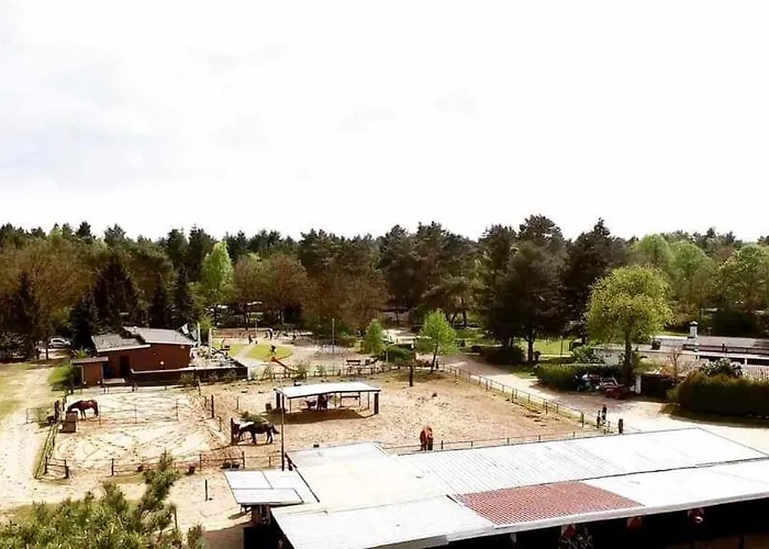 Prachtig In De Bossen