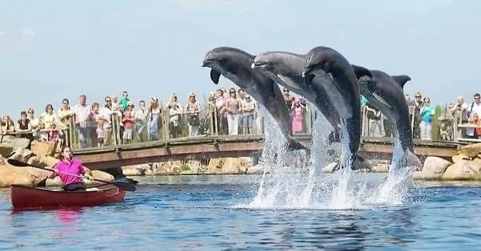 Holiday home Prachtig In De Bossen Nunspeet