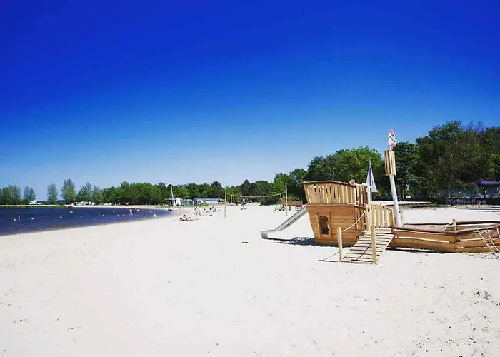 Prachtig In De Bossen *