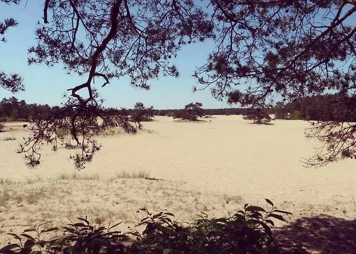 Prachtig In De Bossen Nunspeet