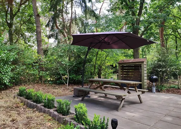 Prachtig In De Bossen * Nunspeet