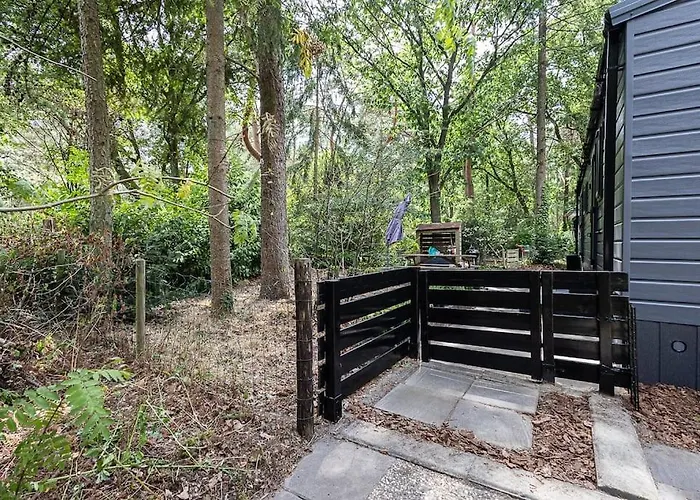 Prachtig In De Bossen Holiday home Nunspeet