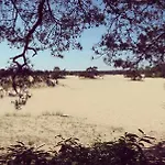 Prachtig In De Bossen Нюнспет