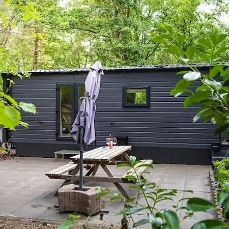 Prachtig In De Bossen *