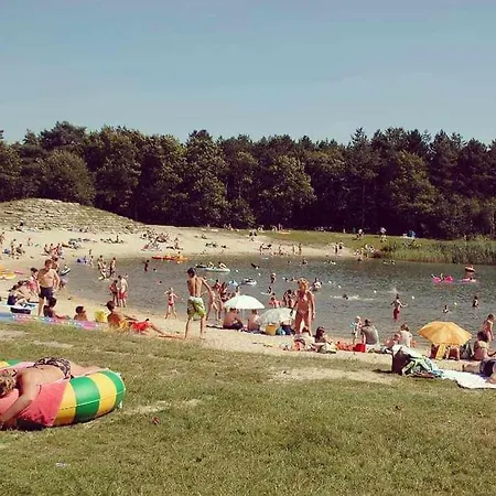 別荘 Prachtig In De Bossen