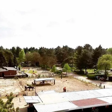 Prachtig In De Bossen