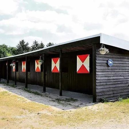 Prachtig In De Bossen