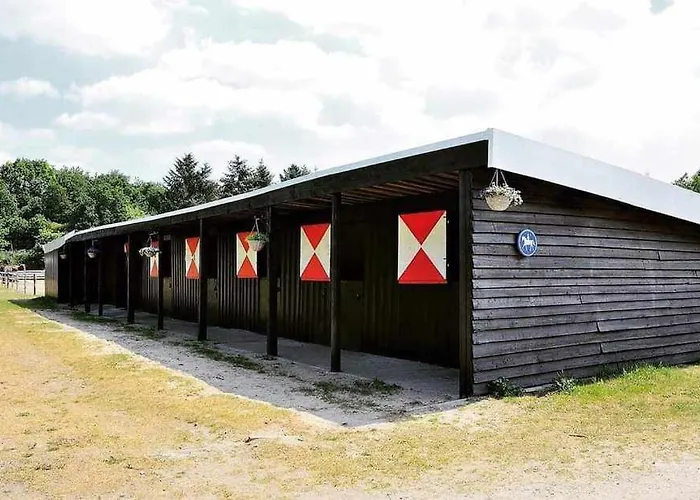 Prachtig In De Bossen